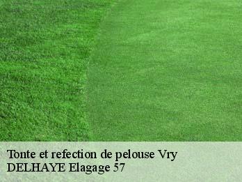 Tonte et refection de pelouse 57640