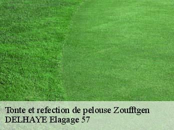 Tonte et refection de pelouse  57330