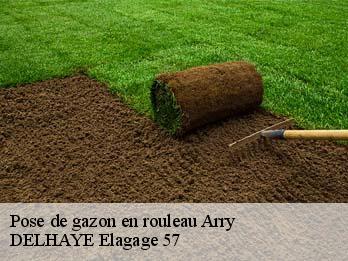 Pose de gazon en rouleau 57680