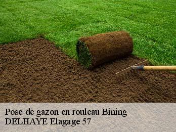 Pose de gazon en rouleau  57410