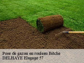 Pose de gazon en rouleau 57230