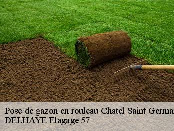 Pose de gazon en rouleau 57160