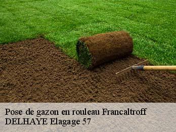 Pose de gazon en rouleau 57670