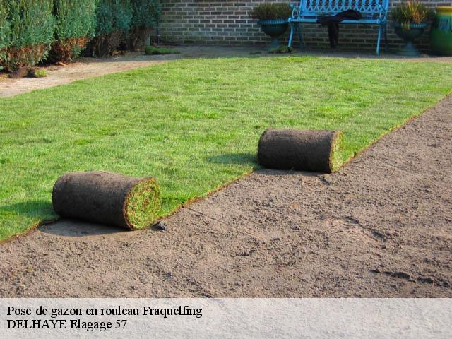Pose de gazon en rouleau fraquelfing-57790 DELHAYE Elagage 57