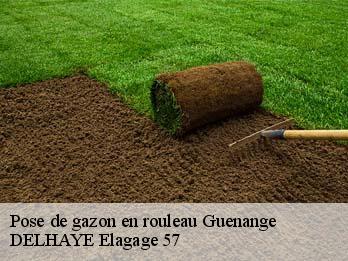 Pose de gazon en rouleau 57310