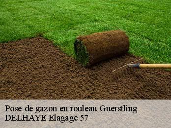 Pose de gazon en rouleau 57320