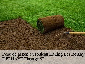 Pose de gazon en rouleau 57220
