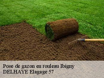 Pose de gazon en rouleau 57830