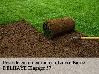 Pose de gazon en rouleau 57260