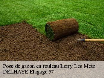 Pose de gazon en rouleau 57050