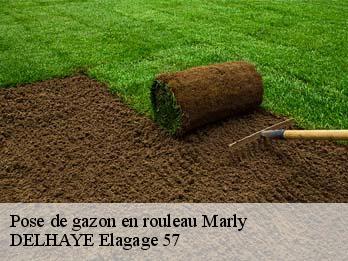 Pose de gazon en rouleau 57157