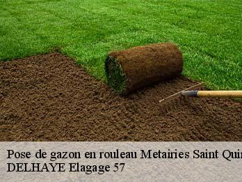 Pose de gazon en rouleau 57560