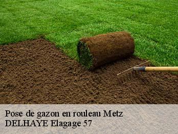 Pose de gazon en rouleau 57000