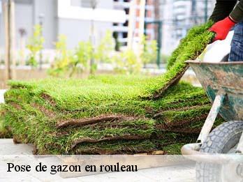 Pose de gazon en rouleau 57000
