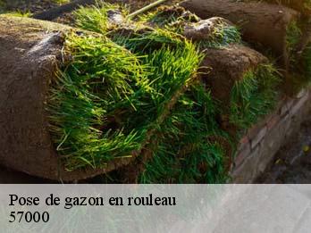 Pose de gazon en rouleau 57000