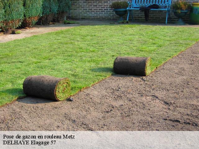 Pose de gazon en rouleau metz-57000 DELHAYE Elagage 57
