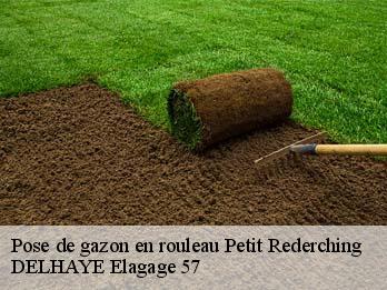 Pose de gazon en rouleau 57410