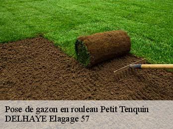 Pose de gazon en rouleau 57660