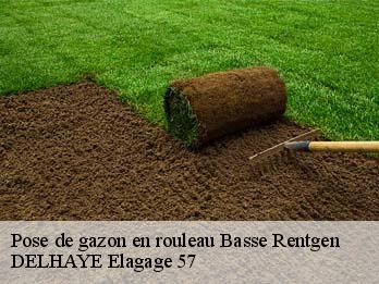 Pose de gazon en rouleau 57570