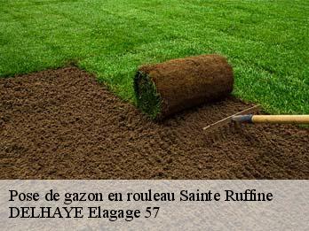 Pose de gazon en rouleau 57130