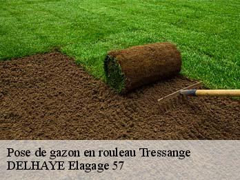 Pose de gazon en rouleau 57710