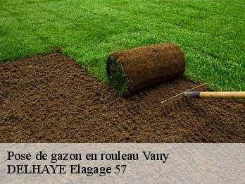 Pose de gazon en rouleau 57070