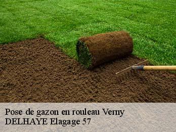 Pose de gazon en rouleau 57420