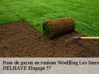 Pose de gazon en rouleau 57200