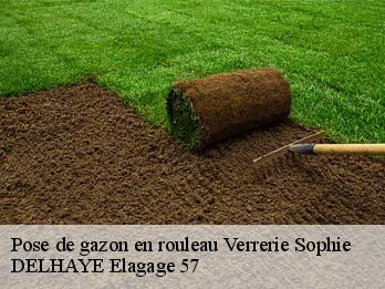 Pose de gazon en rouleau 57350