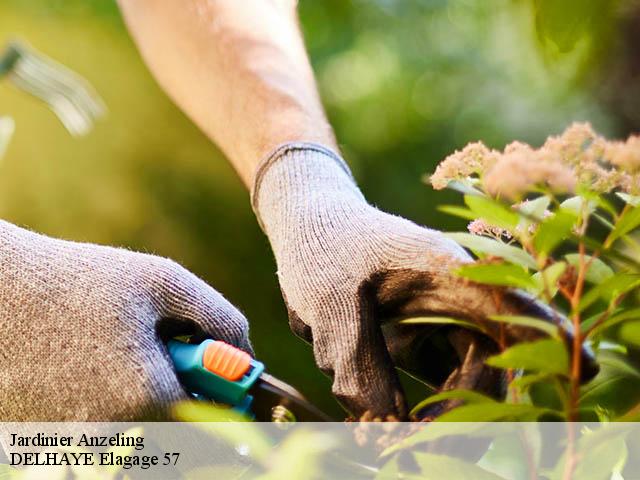 Jardinier  anzeling-57320 DELHAYE Elagage 57