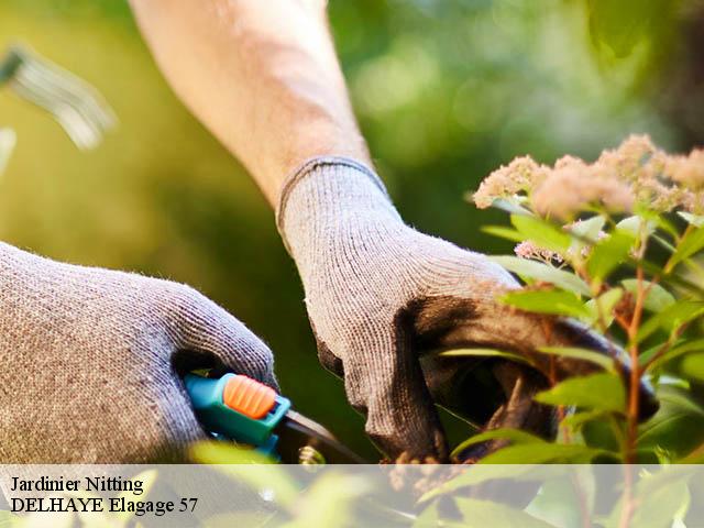 Jardinier  nitting-57790 DELHAYE Elagage 57