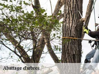 Abattage d'arbres  57560