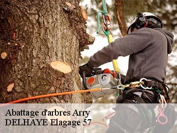 Abattage d'arbres 57680
