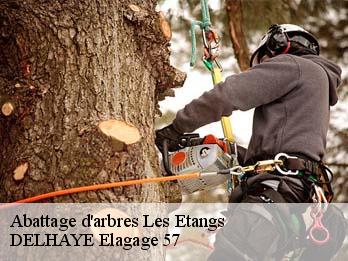 Abattage d'arbres 57530