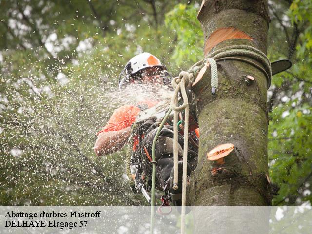 Abattage d'arbres flastroff-57320 DELHAYE Elagage 57