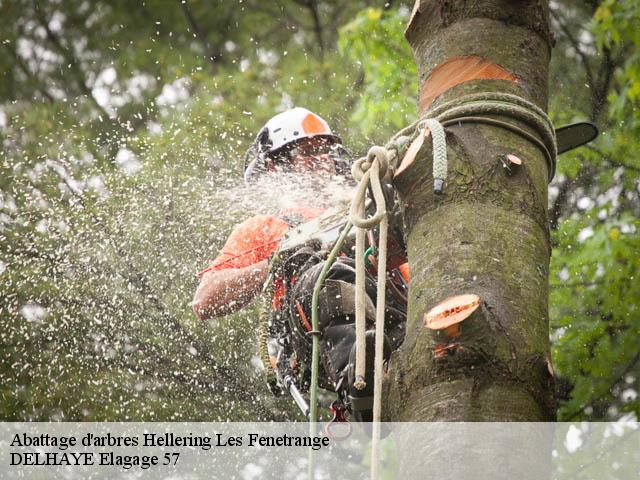 Abattage d'arbres  hellering-les-fenetrange-57930 DELHAYE Elagage 57