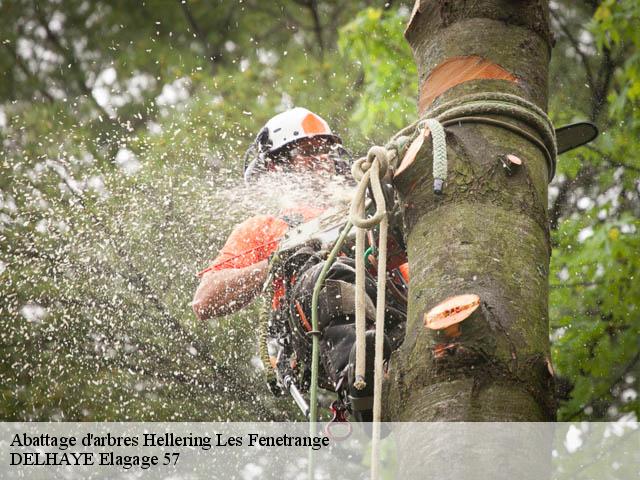 Abattage d'arbres hellering-les-fenetrange-57930 DELHAYE Elagage 57