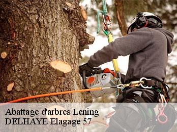 Abattage d'arbres 57670