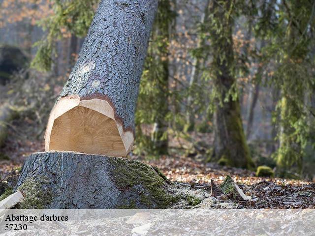 Abattage d'arbres 57230
