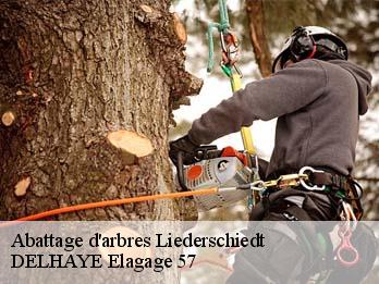Abattage d'arbres 57230