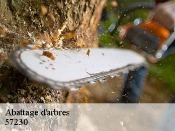 Abattage d'arbres 57230
