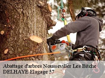 Abattage d'arbres  57720