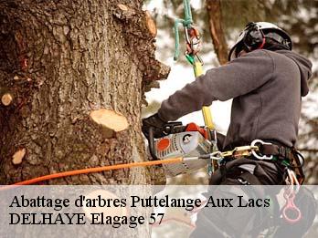 Abattage d'arbres 57510