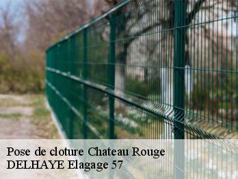 Pose de cloture 57320