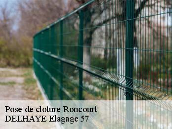Pose de cloture 57860