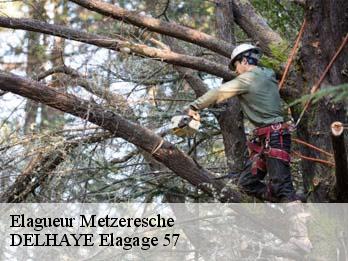 Elagueur  57920