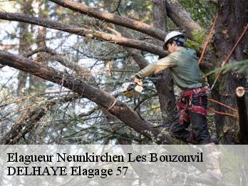 Elagueur 57320