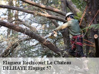 Elagueur 57810