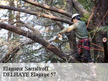 Elagueur  57400