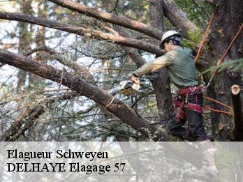 Elagueur 57720